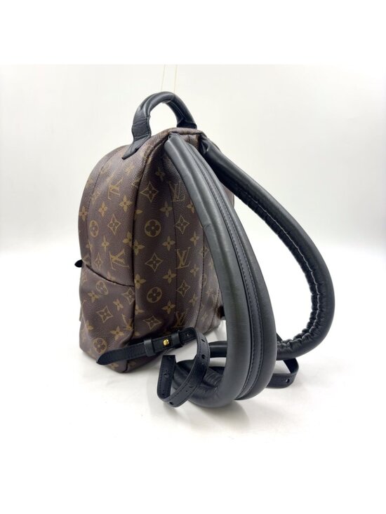 Louis Vuitton Palm Springs PM Monogram Leather Brown Black Backpack Gold main image 3